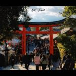 大阪开始-宇治-京都-大阪结束