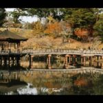大阪开始-奈良-京都-神户-大阪结束